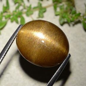 16.93克拉天然星光日光石，椭圆形切割，不透明