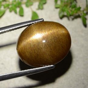 16.93克拉天然星光日光石，椭圆形切割，不透明