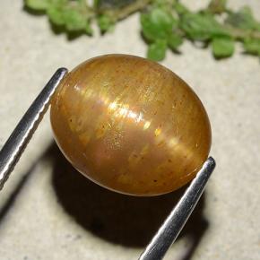 8.25克拉天然金色星光日光石，椭圆形切割，13.5×11毫米，不透明