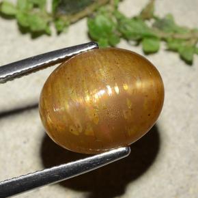 8.25克拉天然金色星光日光石，椭圆形切割，13.5×11毫米，不透明