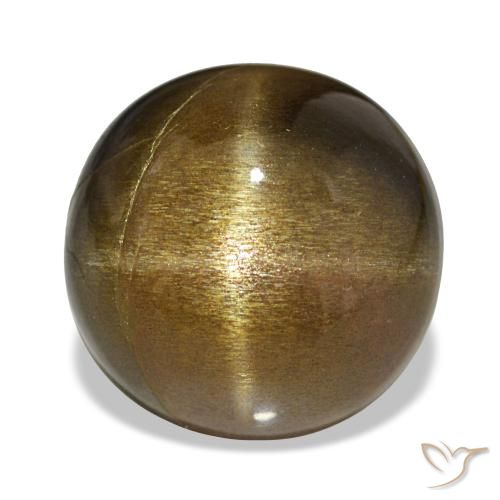 11.00克拉天然星日光石，椭圆形切割，不透明