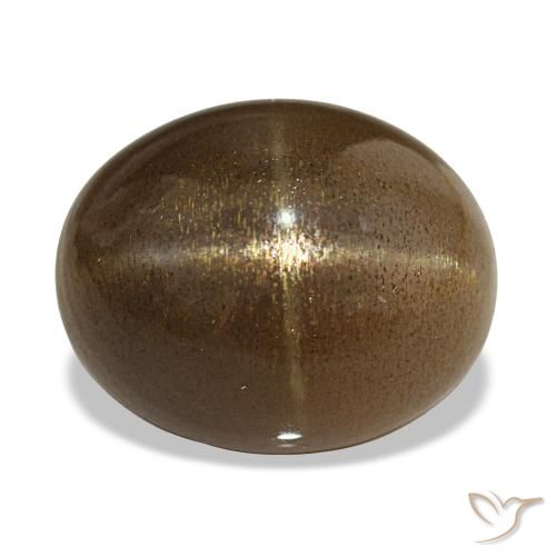 13.92ct 咖啡棕 星日光石, 椭圆形, 不透明