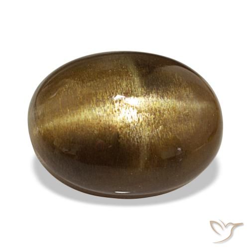 13.39克拉天然星日光石，椭圆形切割，不透明