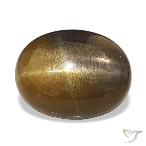 10.87克拉天然星日光石，椭圆形切割，不透明