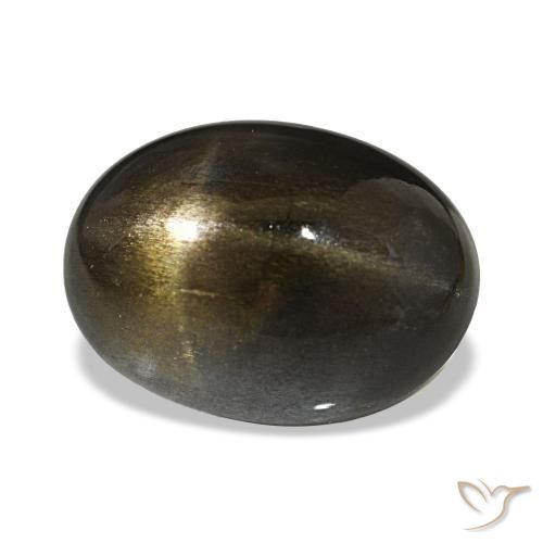 14.54克拉天然星日光石，椭圆形切割，不透明