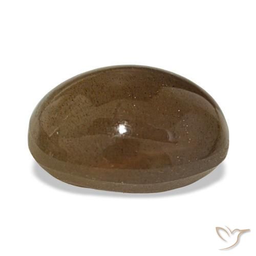 14.24克拉天然星日光石，椭圆形切割，不透明