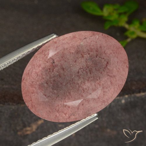 12.98ct 天然 深粉色 草莓石英, 椭圆形, 半透明