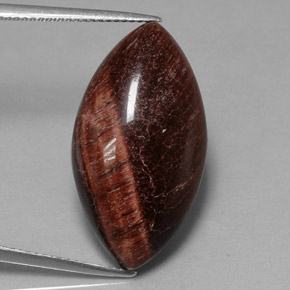 21.56克拉天然多色Tiger's Eye Matrix，马眼形，26.6×14.6毫米，不透明