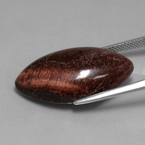 21.56克拉天然多色Tiger's Eye Matrix，马眼形，26.6×14.6毫米，不透明