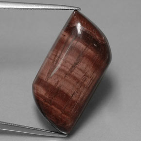 21.51克拉天然多色Tiger's Eye Matrix，异形，24×12.9毫米，不透明