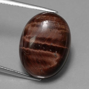 21.49克拉天然多色Tiger's Eye Matrix，椭圆形切割，20.4×15.3毫米，不透明