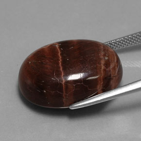 21.49克拉天然多色Tiger's Eye Matrix，椭圆形切割，20.4×15.3毫米，不透明