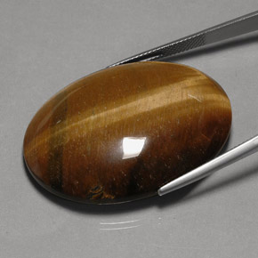 75.77克拉天然棕色Tiger's Eye，椭圆形切割，40×29.9毫米，不透明