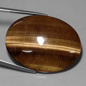 75.05克拉天然棕色Tiger's Eye，椭圆形切割，40.1×30毫米，不透明