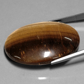 75.05克拉天然棕色Tiger's Eye，椭圆形切割，40.1×30毫米，不透明