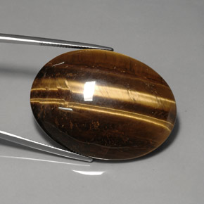 76.92克拉天然棕色Tiger's Eye，椭圆形切割，40×29.9毫米，不透明