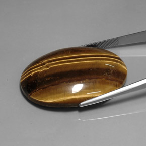 76.92克拉天然棕色Tiger's Eye，椭圆形切割，40×29.9毫米，不透明