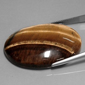 75.54克拉天然虎眼石，椭圆形切割，不透明