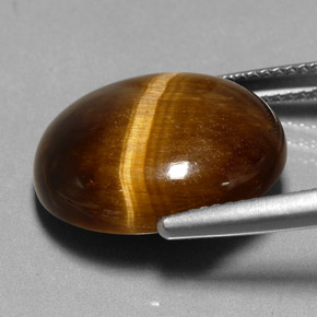 11.35克拉天然棕色Tiger's Eye，椭圆形切割，17.2×14.5毫米，不透明