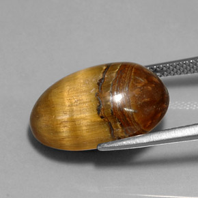 12.90克拉天然棕色Tiger's Eye，椭圆形切割，17.8×11.8毫米，不透明