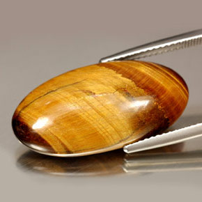 14.67克拉天然虎眼石，椭圆形切割，不透明