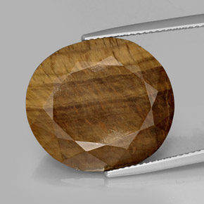 16.94克拉天然虎眼石，椭圆形切割，不透明