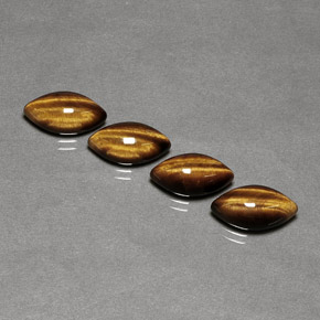 天然棕色Tiger's Eye，马眼形，12×6.1毫米，不透明