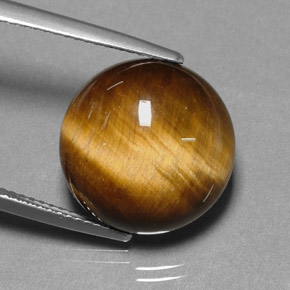 11.12克拉天然棕色Tiger's Eye，圆形切割，14.88毫米，不透明