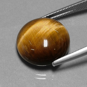 11.12克拉天然棕色Tiger's Eye，圆形切割，14.88毫米，不透明