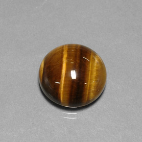 11.77克拉天然棕色Tiger's Eye，圆形切割，14.85毫米，不透明