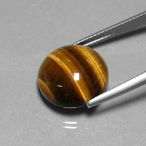 11.77克拉天然棕色Tiger's Eye，圆形切割，14.85毫米，不透明