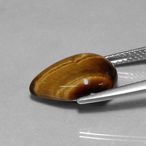 5.02克拉天然棕色Tiger's Eye，梨形，14×10.1毫米，不透明