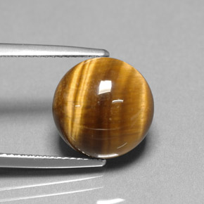 6.69克拉天然棕色Tiger's Eye，圆形切割，12.07毫米，不透明