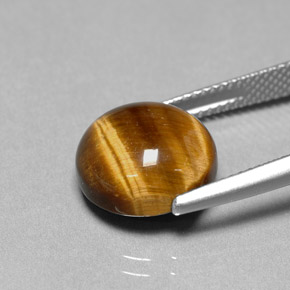 6.69克拉天然棕色Tiger's Eye，圆形切割，12.07毫米，不透明