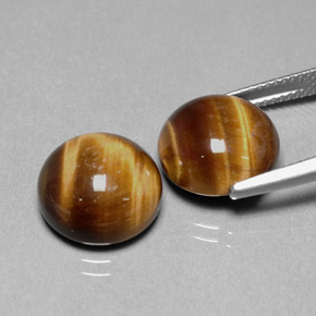 天然棕色Tiger's Eye，圆形切割，12.01毫米，不透明