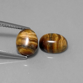 天然棕色Tiger's Eye，椭圆形切割，9×6.9毫米，不透明