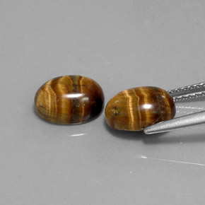 天然棕色Tiger's Eye，椭圆形切割，9×6.9毫米，不透明