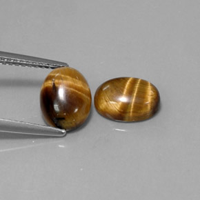 天然棕色Tiger's Eye，椭圆形切割，8.9×6.9毫米，不透明