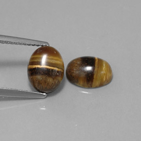 天然棕色Tiger's Eye，椭圆形切割，8.8×6.8毫米，不透明
