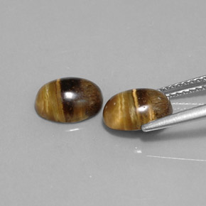 天然棕色Tiger's Eye，椭圆形切割，8.8×6.8毫米，不透明