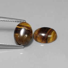 天然棕色Tiger's Eye，椭圆形切割，8.9×6.8毫米，不透明