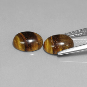 天然棕色Tiger's Eye，椭圆形切割，8.9×6.8毫米，不透明