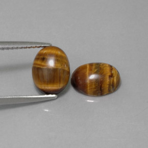 天然棕色Tiger's Eye，椭圆形切割，8.8×6.9毫米，不透明