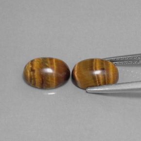 天然棕色Tiger's Eye，椭圆形切割，8.8×6.9毫米，不透明