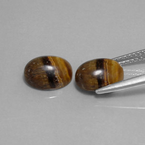 天然棕色Tiger's Eye，椭圆形切割，8.9×7毫米，不透明