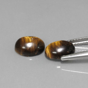 天然棕色Tiger's Eye，椭圆形切割，8.8×6.9毫米，不透明