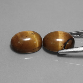 天然棕色Tiger's Eye，椭圆形切割，9×7毫米，不透明