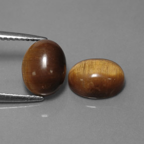 天然棕色Tiger's Eye，椭圆形切割，8.9×6.9毫米，不透明