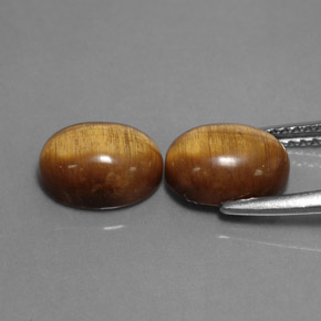 天然棕色Tiger's Eye，椭圆形切割，8.9×6.9毫米，不透明