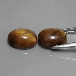 天然棕色Tiger's Eye，椭圆形切割，9×7毫米，不透明